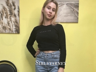 Sibleyarnet