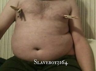 Slaveboy3164