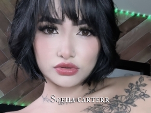 Sofiia_carterr