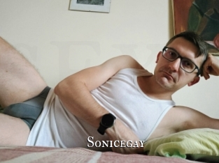 Sonicegay