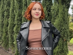 Sophicherrie