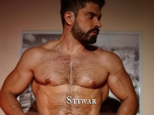 Stywar