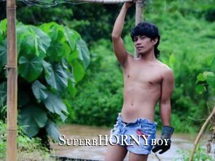 SuperbHORNYboy