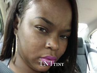 T_N_Ttiny