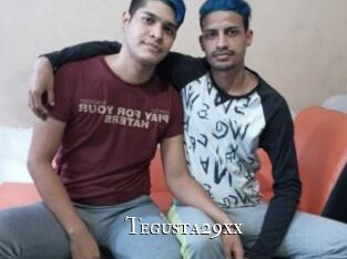 Tegusta29xx cams