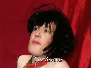 TinaSandra cams