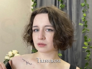 trishrose cams