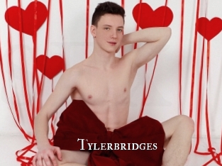 Tylerbridges