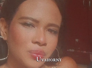 Uvahorny