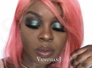 VenusianJ