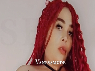 Vanesamude