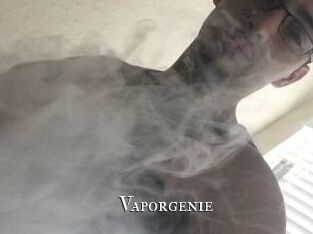 Vapor_genie