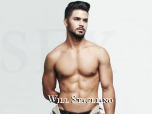 Will_Stagliano cams