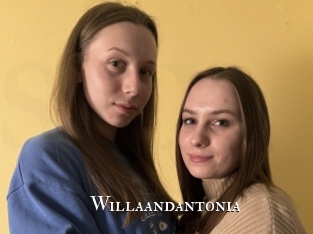 Willaandantonia