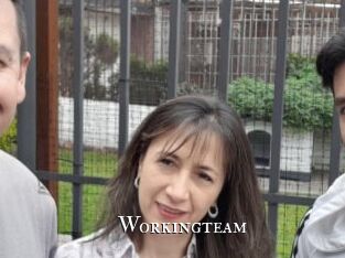 Workingteam