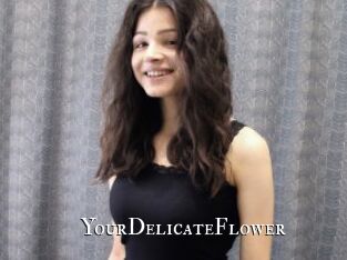 YourDelicateFlower
